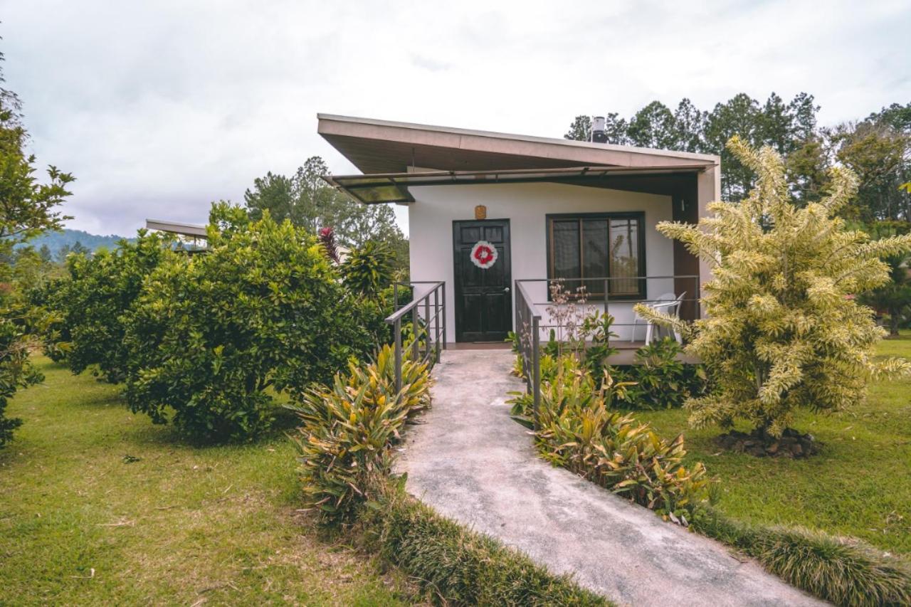Posada Canaveral Ujarrás Exteriér fotografie
