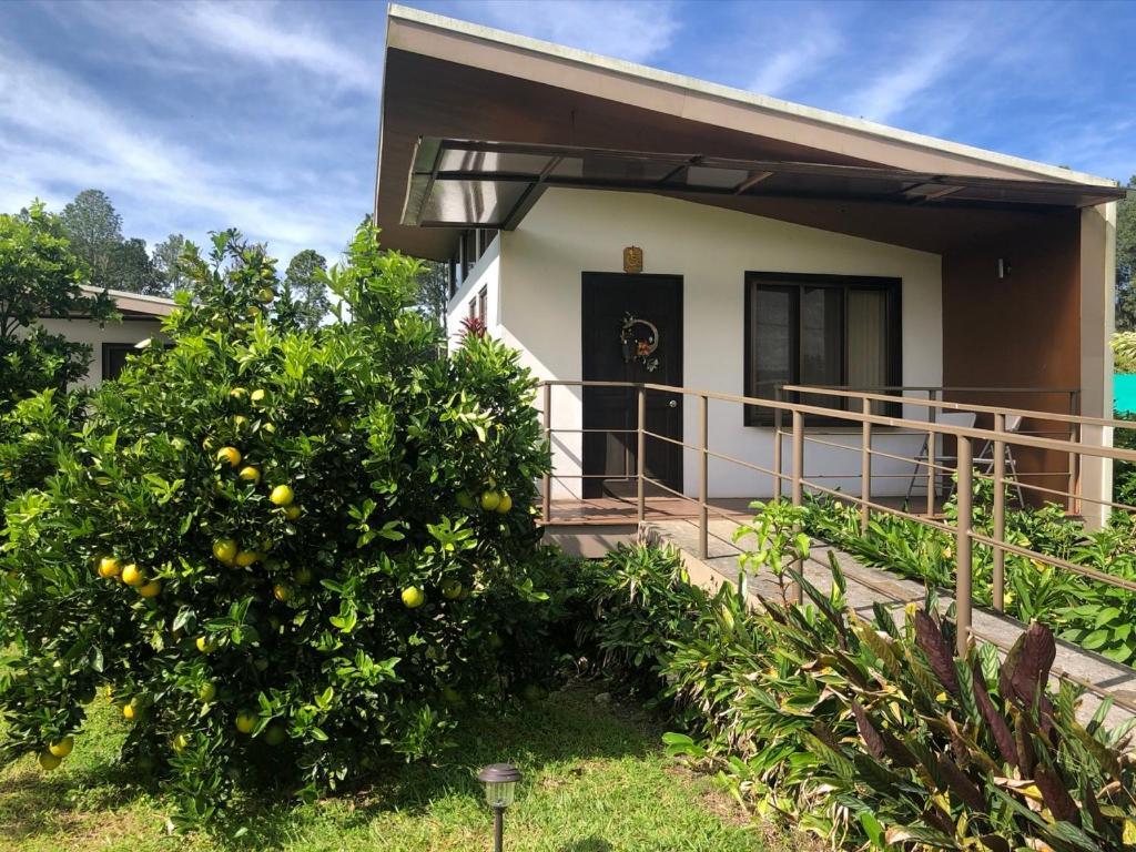 Posada Canaveral Ujarrás Exteriér fotografie