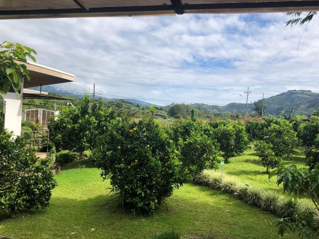 Posada Canaveral Ujarrás Exteriér fotografie